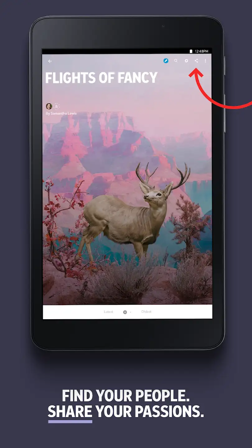 Flipboard 10