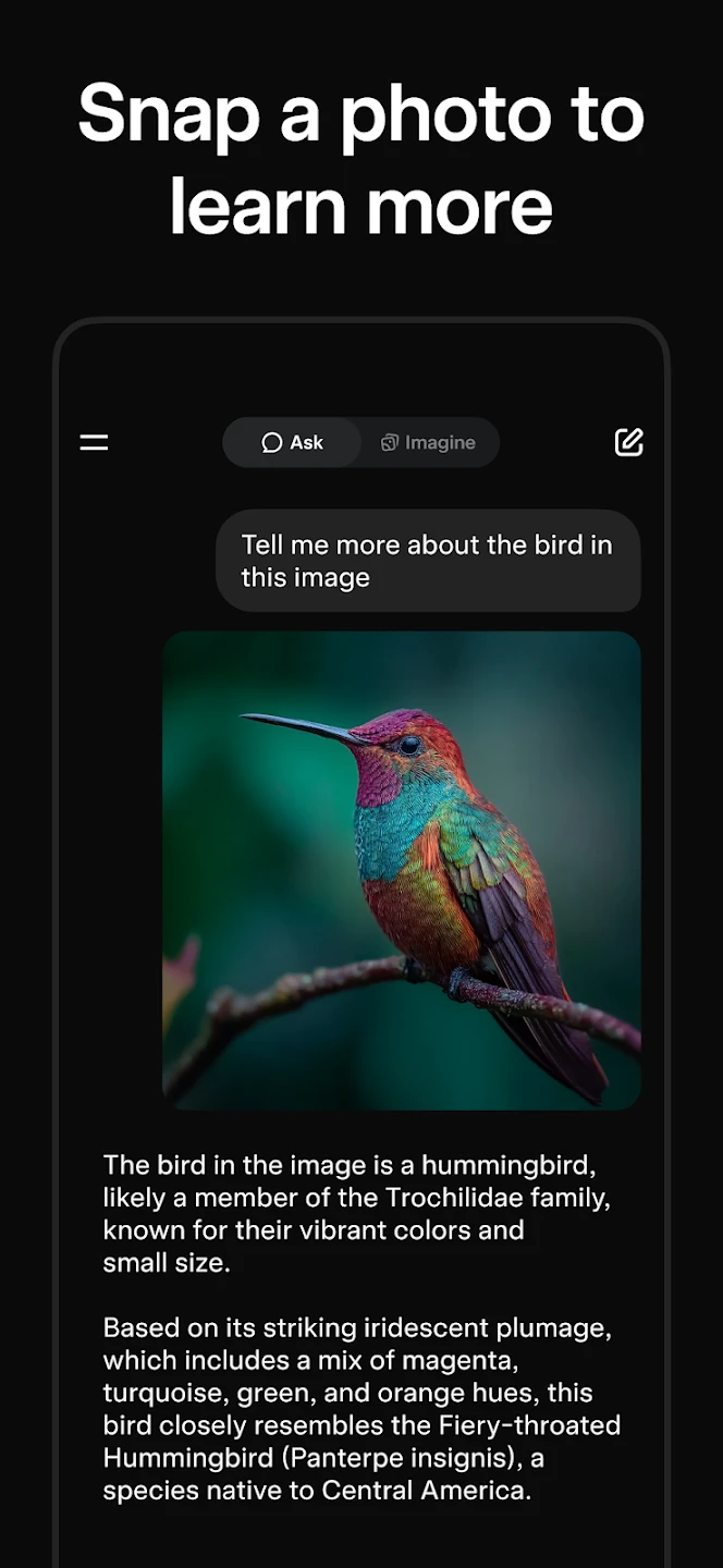 Grok-AI-Assistant 3